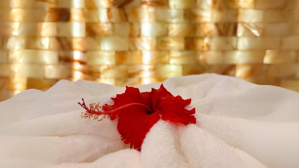 هتل ریاض لاوانیا